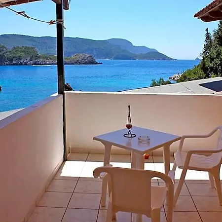 Dolphin Sea View *