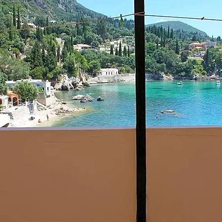Dolphin Sea View