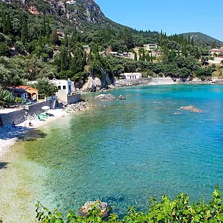 Dolphin Sea View